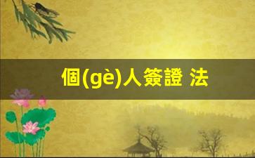 個(gè)人簽證 法語(法國(guó)簽證對(duì)法語有要求嗎)